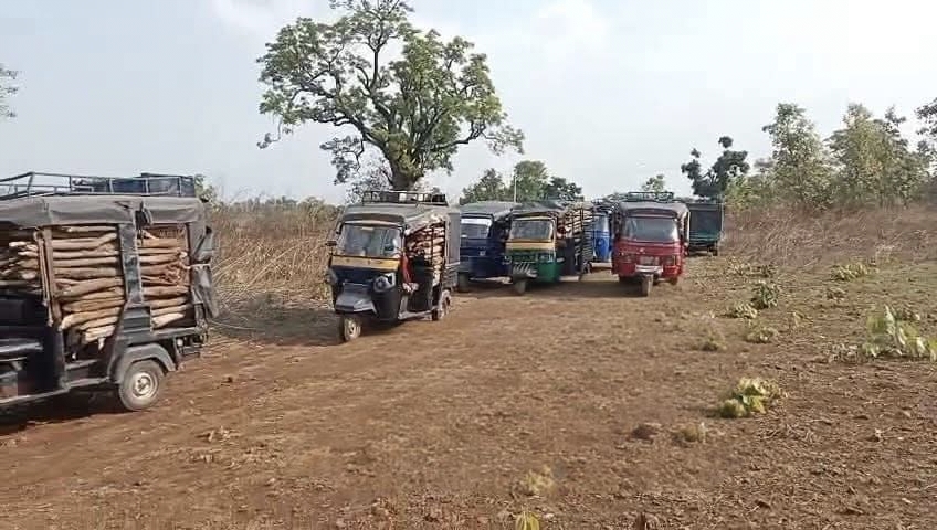 पांकी थाना क्षेत्र में अवैध लकड़ी कटाई का आरोप, जंगलों पर मंडरा रहा खतरा
