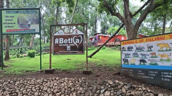 1 अक्टूबर से पर्यटकों के लिए खुलेगा बेतला नेशनल पार्क